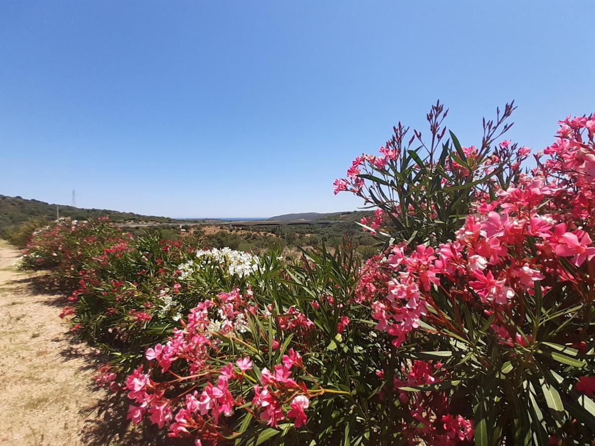 Bed and Breakfast Sole&Sale San Teodoro  Exterior foto