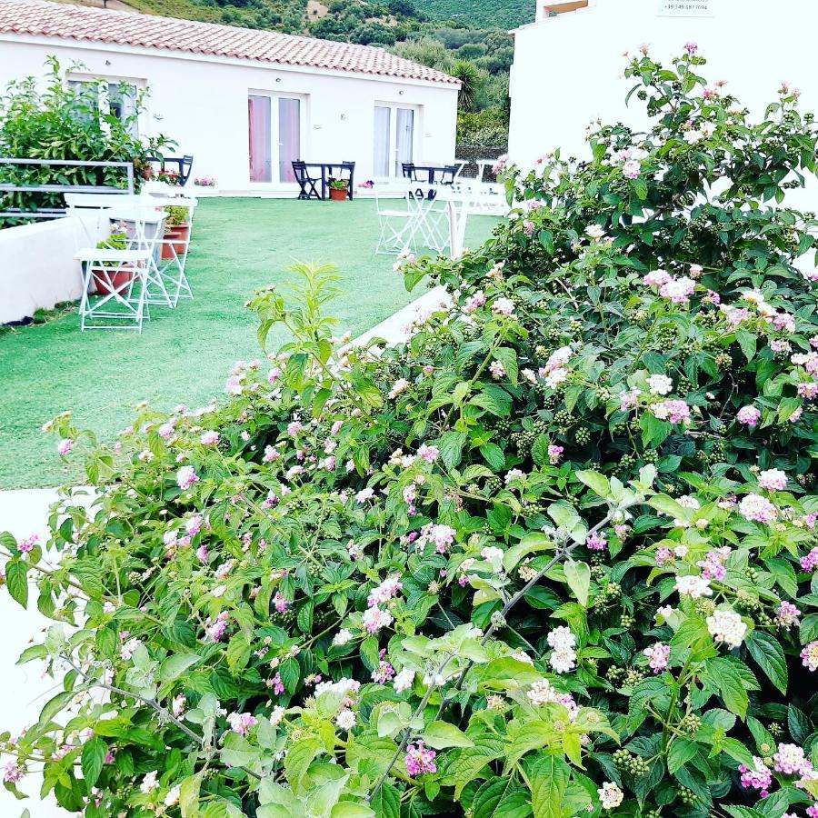 Bed and Breakfast Sole&Sale San Teodoro  Exterior foto