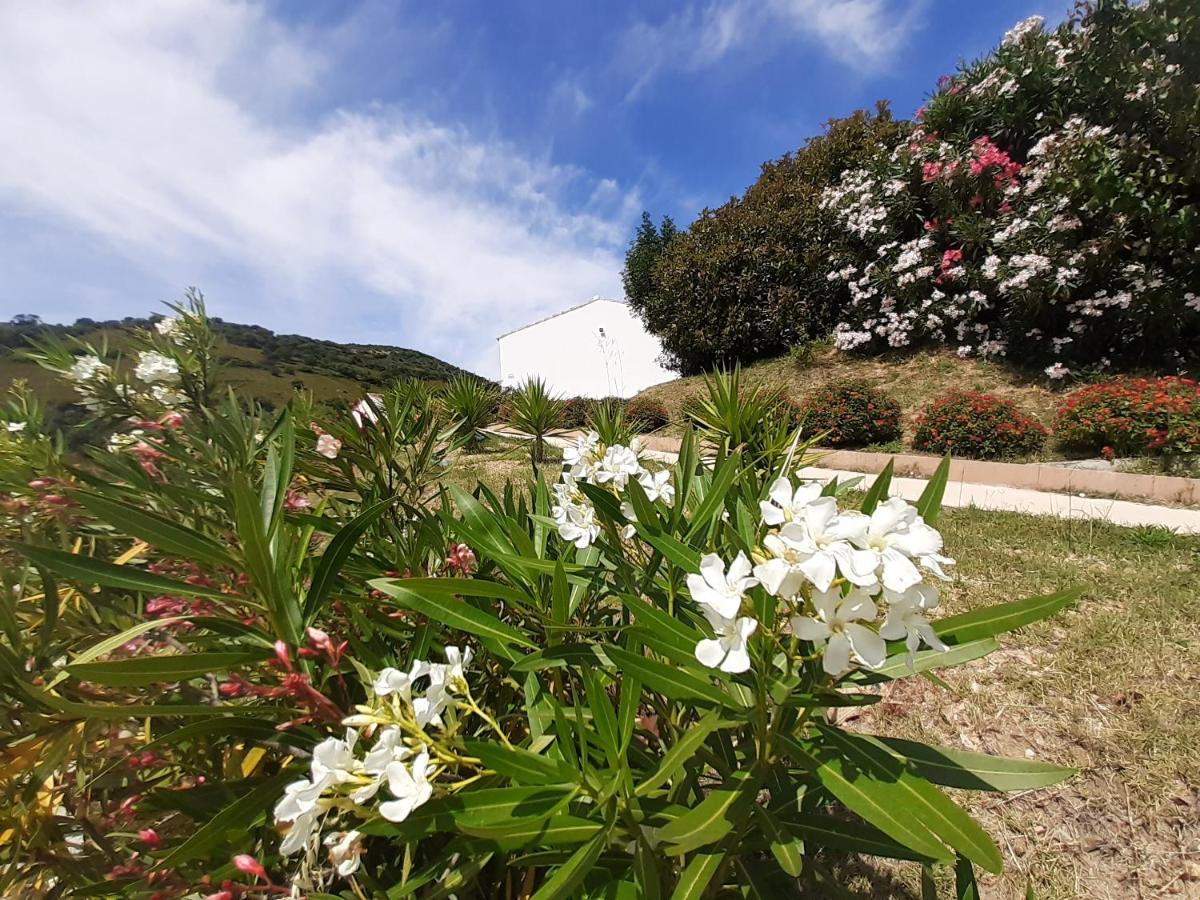 Bed and Breakfast Sole&Sale San Teodoro  Exterior foto