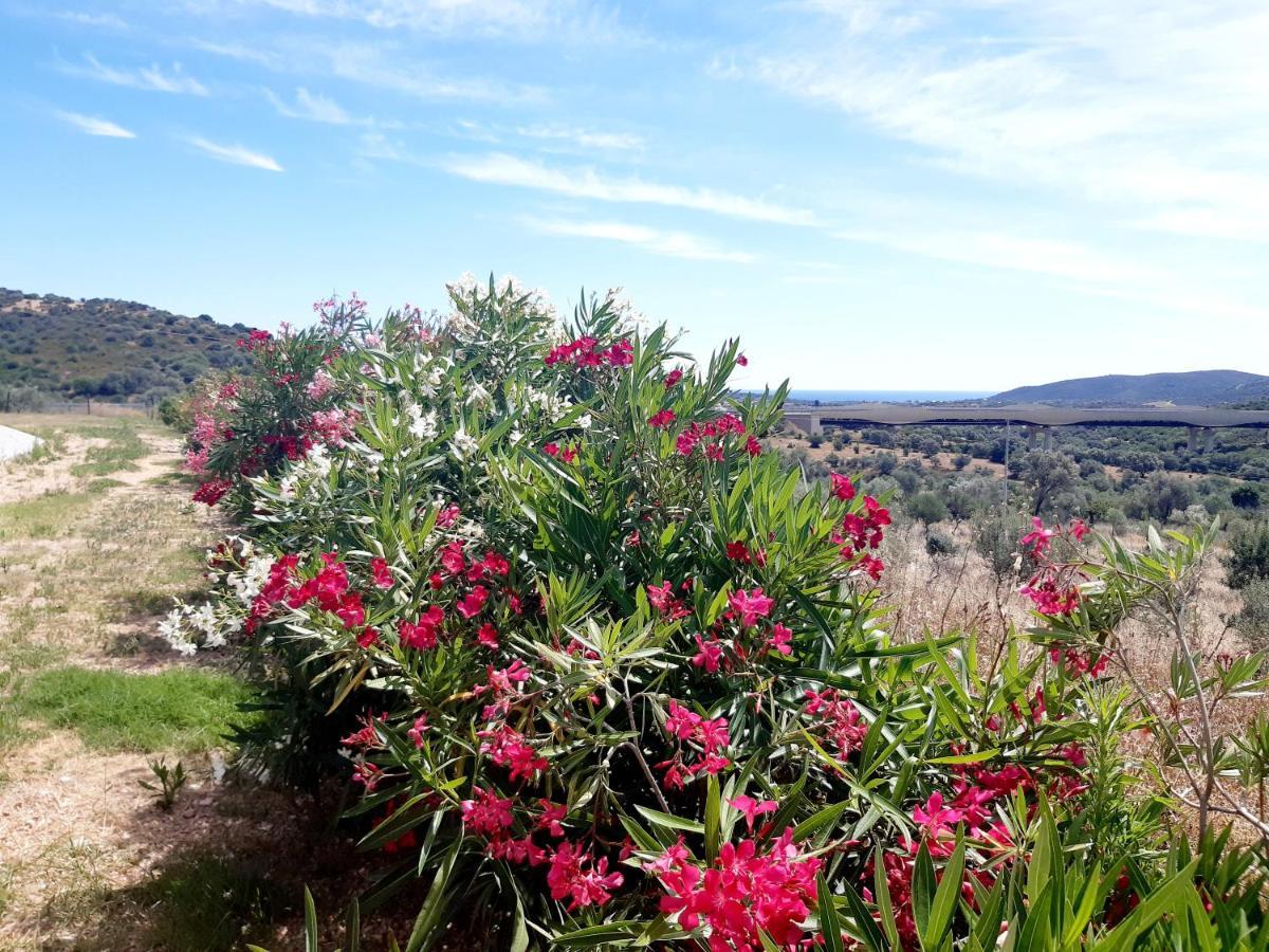 Bed and Breakfast Sole&Sale San Teodoro  Exterior foto